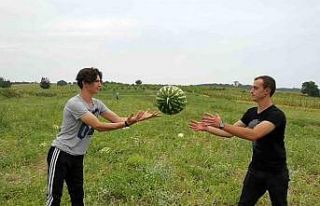 Karpuz nasıl seçilir? Karpuz hakkında ilginç bilgiler