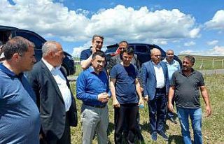 Kars’ta doludan zarar gören çiftçilerin mağduriyeti...