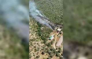 Kaş’ta orman yangını başladı