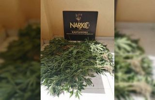 Kastamonu’da 46 kök kenevir ele geçirildi