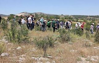 Kaya resimlerine büyük ilgi