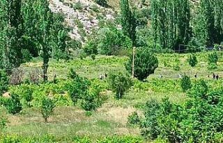 Kayıp yaşlı adamın cesedi 13 gün sonra bulundu