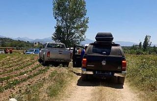 Kayıp yaşlı kadın mısır tarlasında ölü olarak...