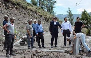 Kaymakam Başar çalışmaları inceledi