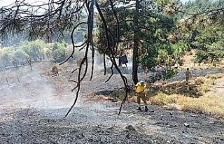 Kazdağları’ndaki örtü yangını ormana sıçramadan...