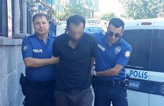 Kedileri bıçaklayarak öldüren şahıs tutuklandı