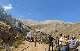 Kemaliye’de çıkan ot yangını büyümeden söndürüldü