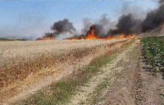 Keşan’da 80 dönüm buğday tarlası kül oldu