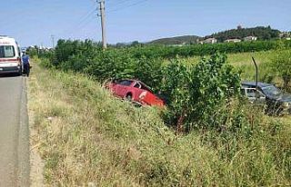 Keşan’da kontrolden çıkan kamyonet şarampole...
