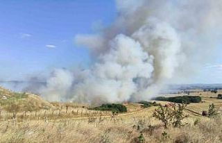 Keşan’da tarla yangınında 2 bin dönüme yakın...