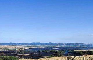 Keşan’daki arazi yangınında bin 226 dönüm buğday...