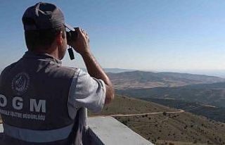 Keskin gözler yeşil doğanın üzerinde: Bin 760...