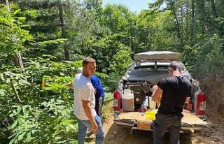 Kestane ormanlarına kurulan 4 bin yapışkanlı tuzak...