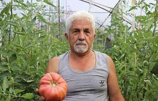 Kimsenin kullanmadığı tohumları kullandı, aldığı...