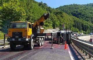 Kiraz yüklü kamyon devrildi, tonlarca meyve yola...