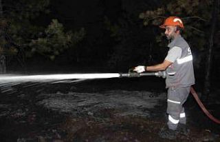 Kırıkkale’de orman yangını