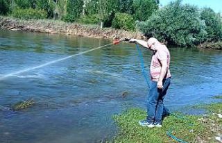 Kızılırmak’ta üvez sineği ile etkin mücadele...