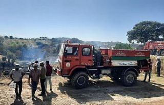 Koçarlı’da zirai alan ve orman yangını