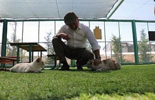 Kocasinan’dan sıcak bir yuva; ‘küçük dostlar...