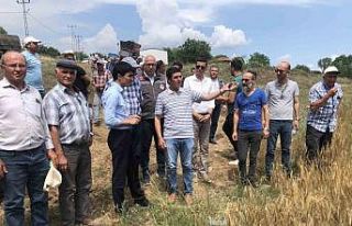 Kofçaz’da Tarla Günü etkinliği