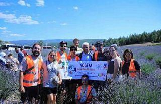 Koku Vadisi’nde Lavanta şenliği düzenleniyor