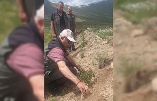 Konaklı’ya 43 bin ağaç dikildi