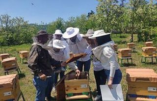 Kontenjanı dolan tercih edilen bölüm oldu