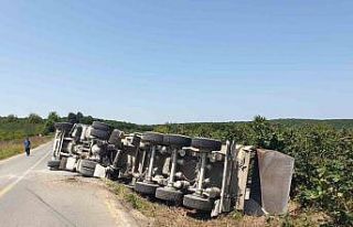 Kontrolden çıkan kamyon devrildi, sürücüsü yaralandı