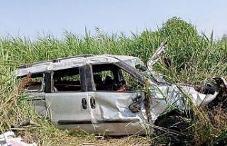 Köpeğe çarptı, bariyerlere uçtu