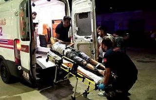 Köpek kovalayınca hastanelik oldular