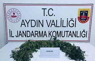 Köşk’te uyuşturucu operasyonu: 2 gözaltı