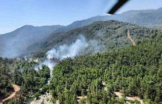Köyceğiz’de orman yangını