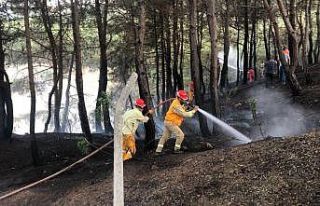 Kozan’da orman yangını