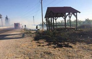 Kozan’da otluk alandaki yangın bahçelere sıçramadan...