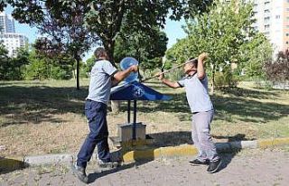 Küçükçekmece’de sokak hayvanları bunaltıcı...