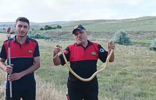 Kur’an kursu bahçesine giren yılanı itfaiye ekipleri...