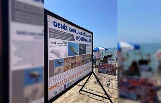 Kuşadası Belediyesi’nden Caretta Caretta yuvaları...