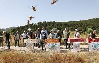 Kütahya Türkmen Dağı’na 200 keklik salındı