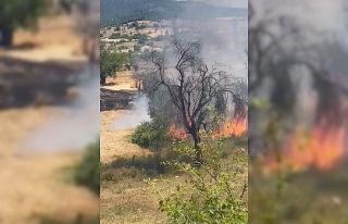 Kütahya’da buğday ekili tarlada yangın
