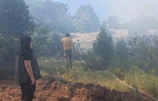 Kütahya’da çıkan orman yangını kontrol altına...