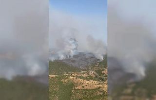 Kütahya’daki orman yangını havadan görüntülendi
