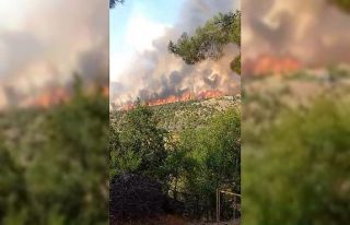 Kütahya’daki orman yangınına müdahale 3 saattir...