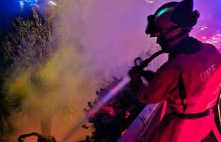 La Palma Adası’nda 4 bin 500 hektar alan küle...