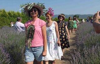 Lavanta bahçesinde defile