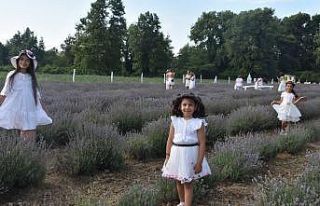 Lavanta tarlası alternatif turizm rotası oldu