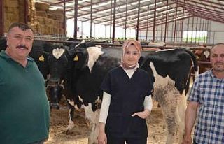 Macar düveler Beylikova’ya geldi