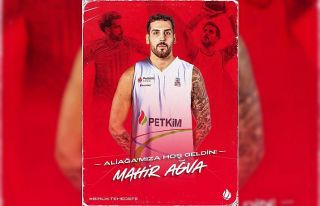 Mahir Ağva, Petkimspor’da