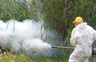 Malatya’da ilaçlama çalışmaları sürüyor