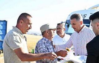 Mamak’ta yapılan hasat çiftçiyi mutlu etti