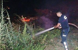 Manavgat’ta ot çalı yangını korkuttu
